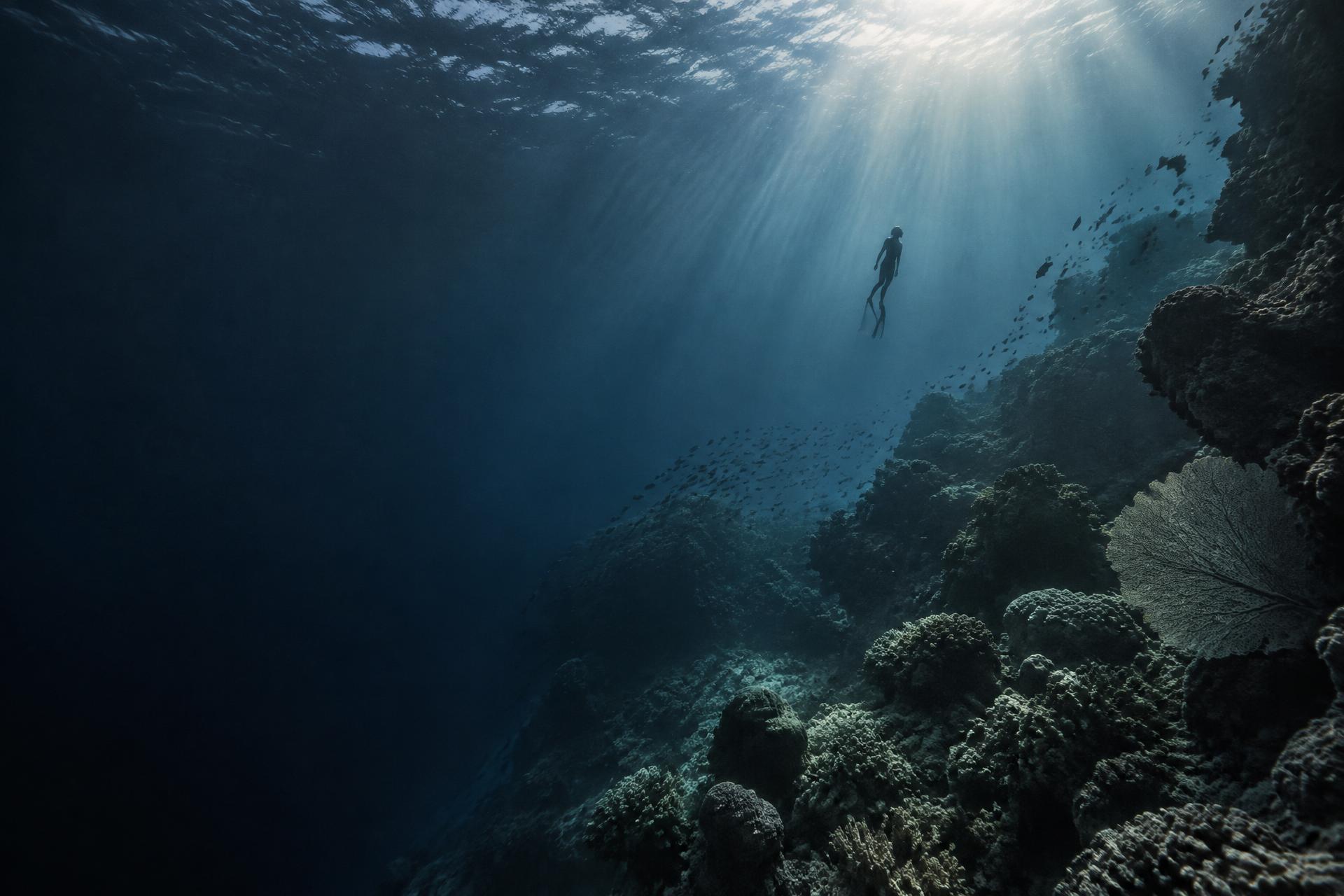 A freediver suspended above a coral reef in deep ocean water